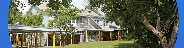 location photo of our school playground showing trees, grassed areas and classrooms